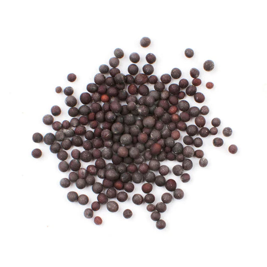 Mustard seed/ Biji Sawi